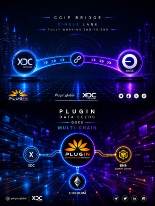 Cover image for [Insights] July Edition: Key Highlights and Developments from Plugin’s Journey