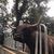 the_blackgoldgarden_033 profile image
