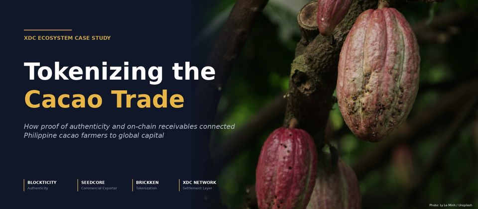 Cover image for Tokenizing the Cacao Trade