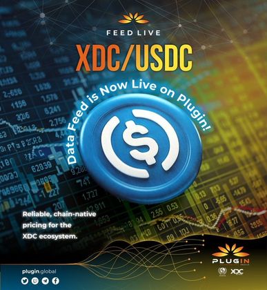 Cover image for [Informative] December Insights: Key Highlights from Plugin’s Journey