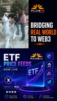 Cover image for [Informative] June Insights: Key Highlights and Developments from Plugin’s Journey