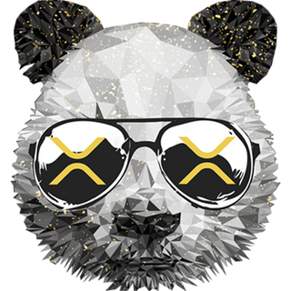 NerdyXDC profile picture