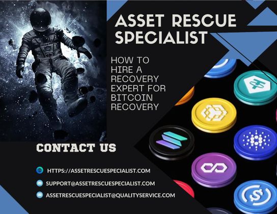 Cover image for A LIFELINE IN CRISIS:ASSET RESCUE SPECIALIST"S EXCEPTIONAL SERVICE