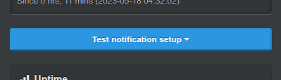 Test Notification Button