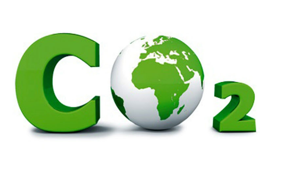Cover image for Plugin's initiative for Carbon offsetting