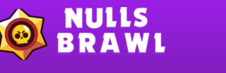 Null Brawl profile picture
