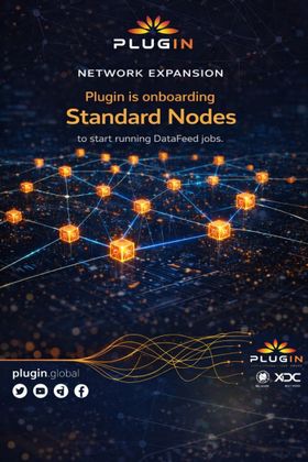 Cover image for [Informative] January Insights: Key Highlights from Plugin’s Journey