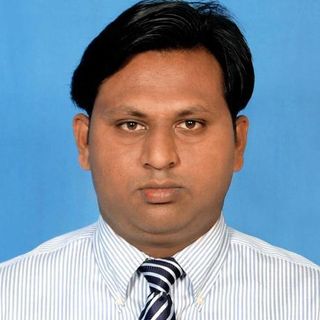 Md Mahmudul Hasan Moni    profile picture