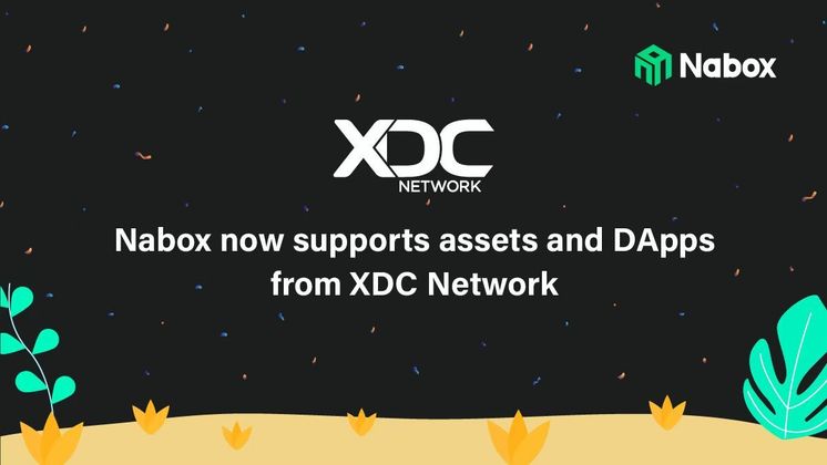 Cover image for XDC ecosystem multi-chain wallet Naobx has now supported XDC tokens and DApps