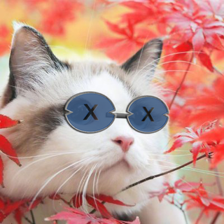 tsuxdc profile picture