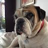 Ruben Alexander German profile picture