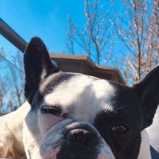 Tasmanian126 profile picture