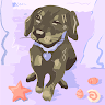 tima_north_b2de9b9eeaf7bd profile image