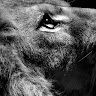 sri_santh_09062004 profile image