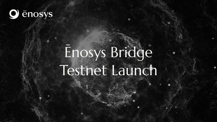 Cover image for Enosys Bridge