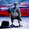 VIACHESLAV STOIAN profile picture