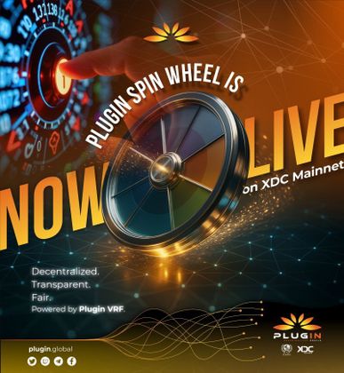 Cover image for [Informative] November Insights: Key Highlights from Plugin’s Journey