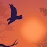 Praveen Kumar profile picture