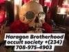 haragon_family_d6ffd28e02 profile image