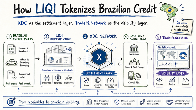 Cover image for How It's Tokenized | Liqi Brazil