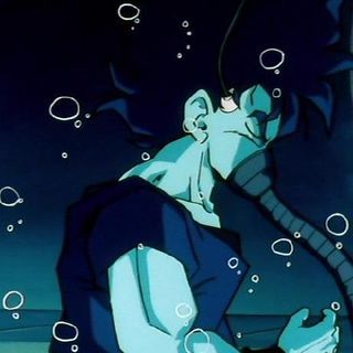 Mehdi  profile picture