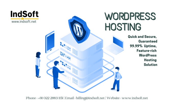 Cover image for What Is WordPress Hosting?