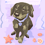 tima_north_b2de9b9eeaf7bd profile